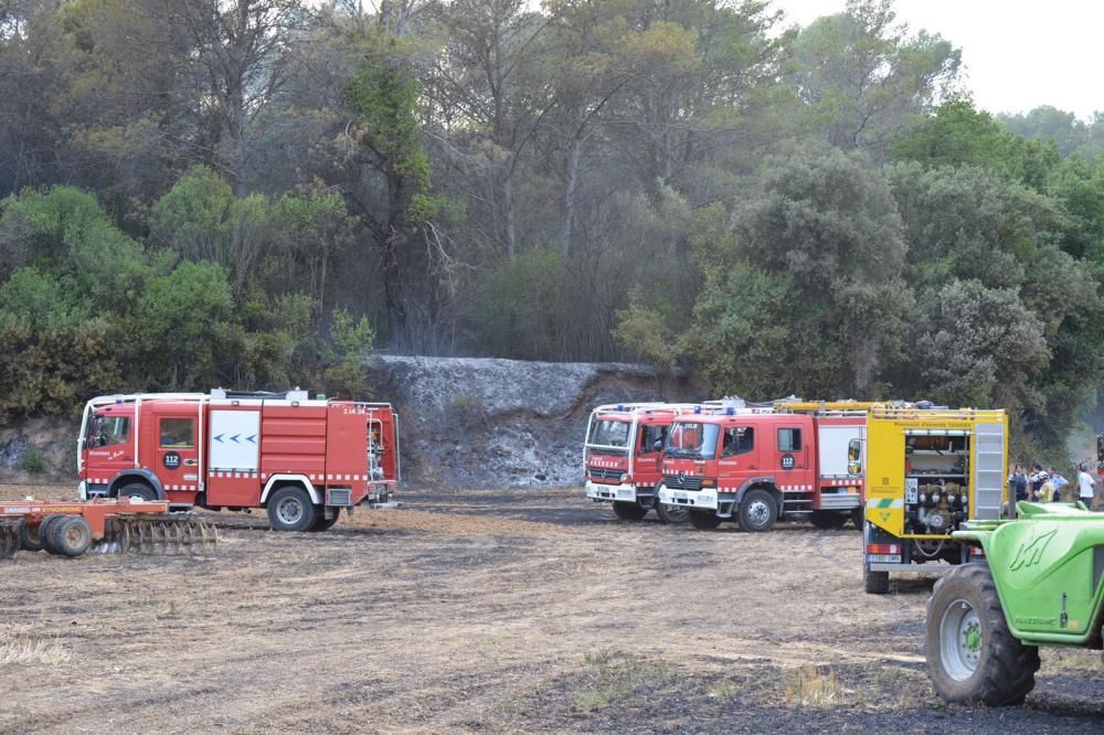 Els Bombers apaguen un foc a Vilademuls