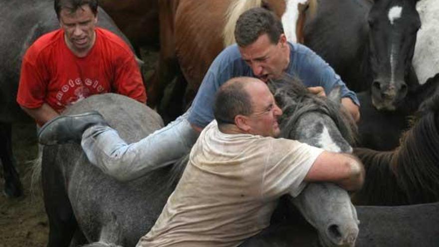 Imagen de archivo de Pepe Paz y dos aloitadores más en un curro de Sabucedo.