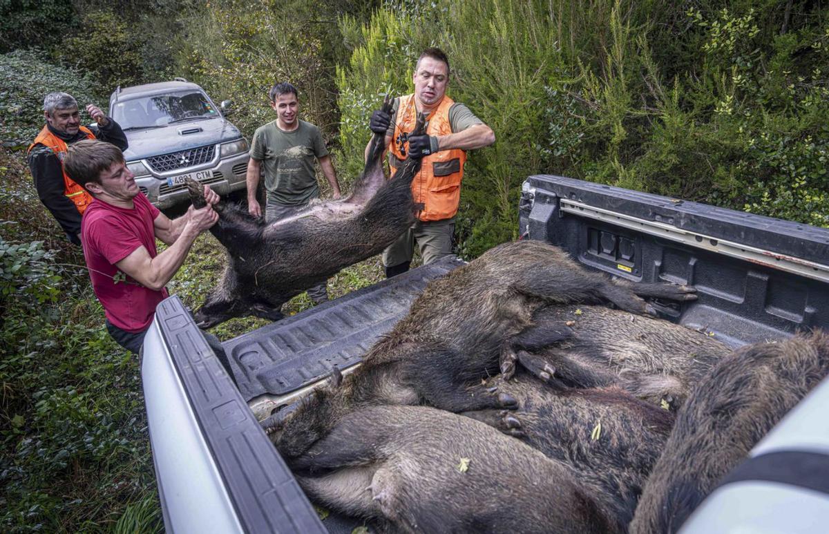 Batudes per aplicació mòbil