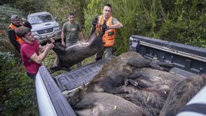 Batudes per aplicació mòbil