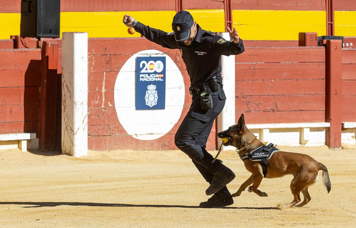 La Policía Nacional conmemora su 200 Aniversario con una exhibición en la Plaza de Toros de Alicante