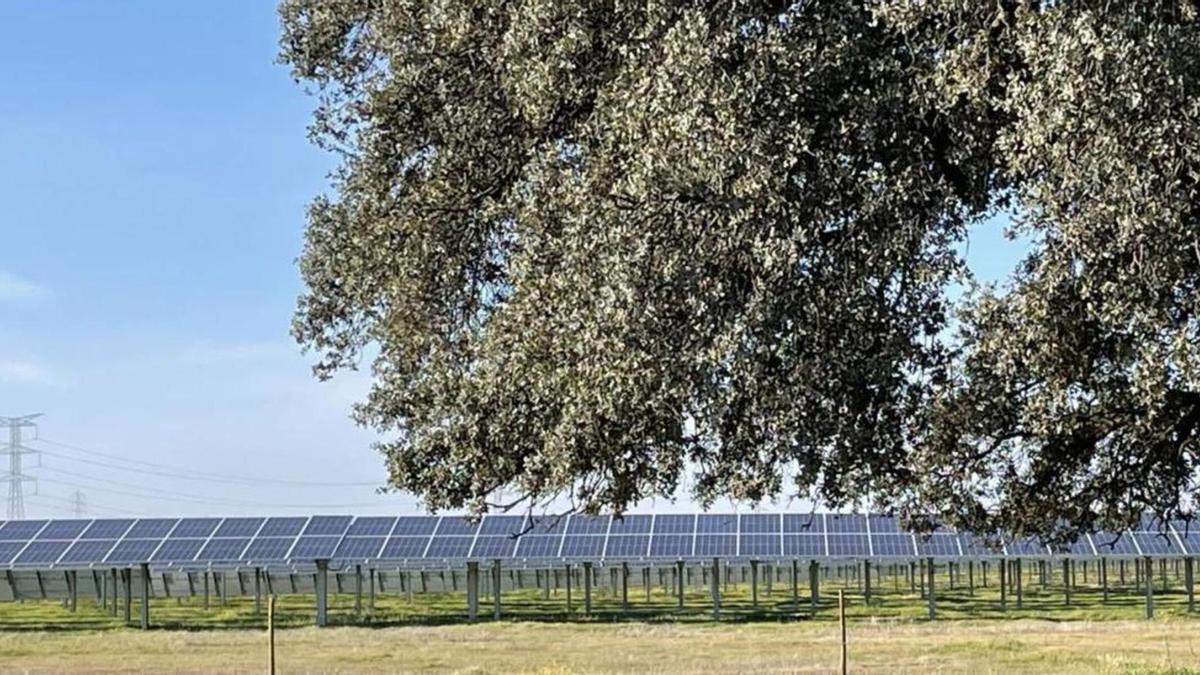 Planta fotovoltaica de Genia en Extremadura.