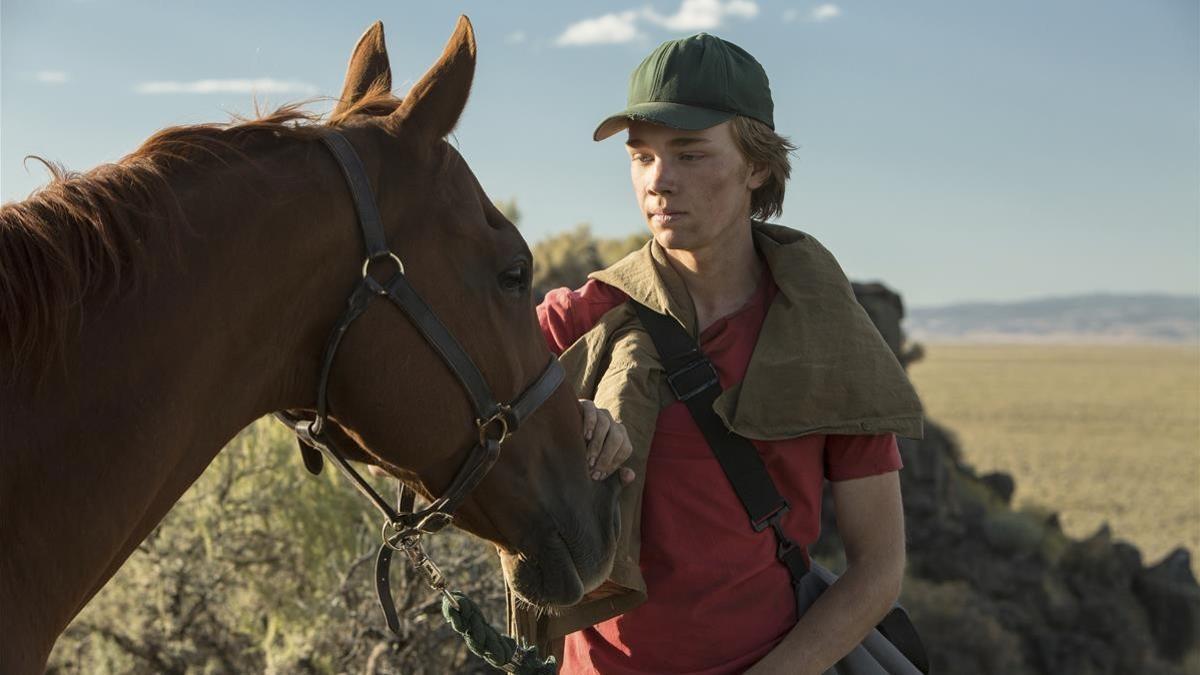 zentauroepp42798025 this image released by a24 films shows charlie plummer in a 180515174700