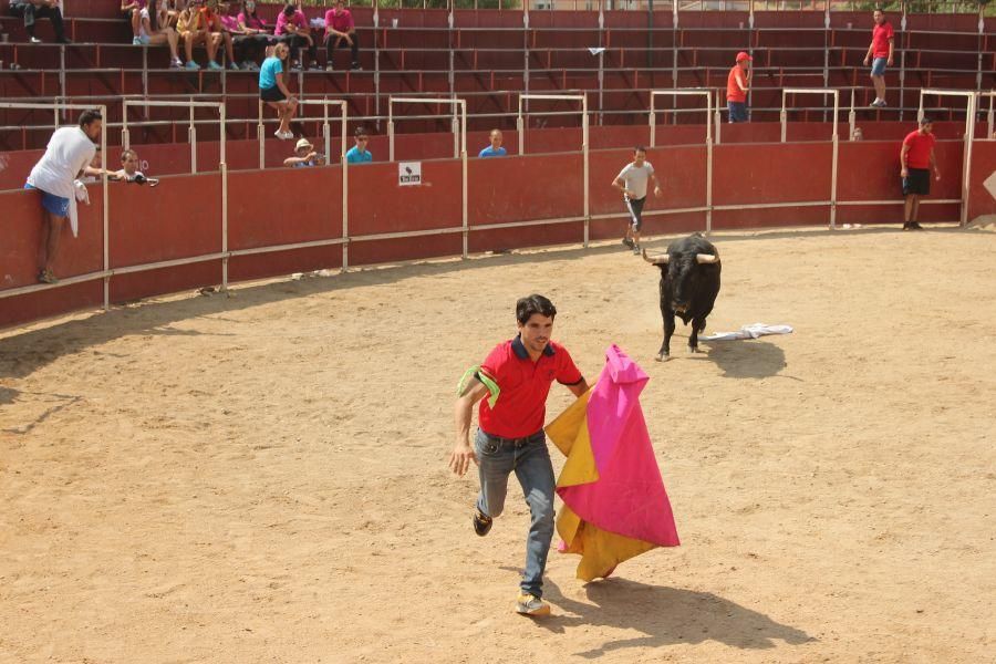 Fiestas en Zamora: Villamor de los Escuderos