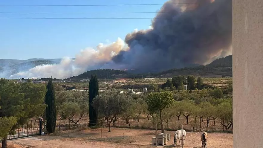 Declaran la situación 1 por el incendio forestal de Tuéjar, que moviliza ya 14 medios aéreos