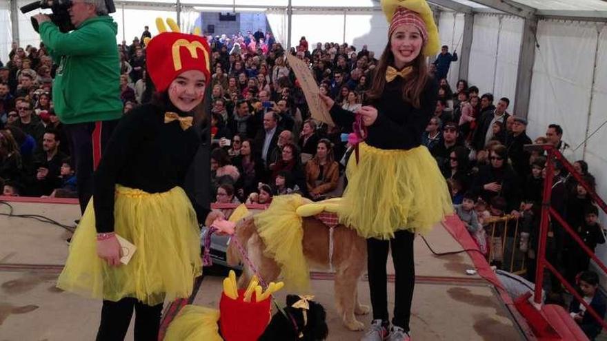 Carpa de la Plaza Mayor de Toro llena de público para presenciar el desfile de mascotas.