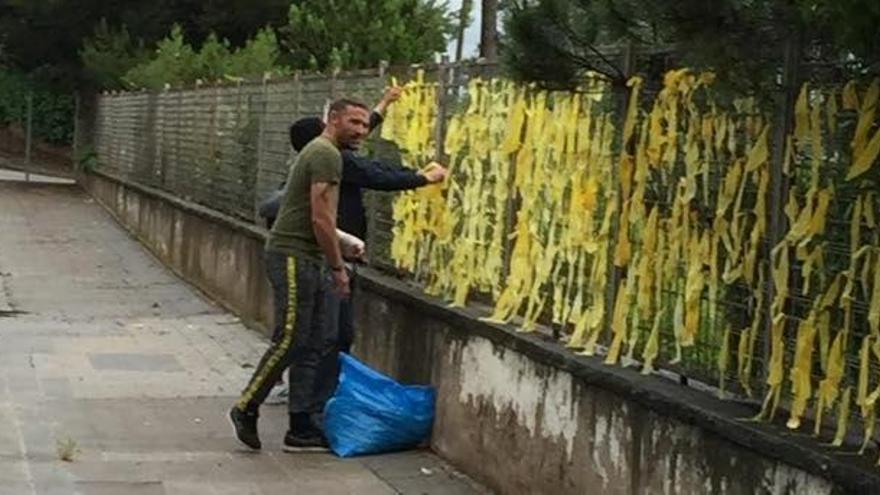 Individus retirant llaços grocs a Pineda de Bages, al terme de Sant Fruitós