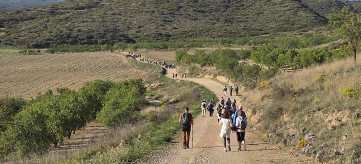 La marcha tuvo dos recorridos de 24 y 12 kilómetros.