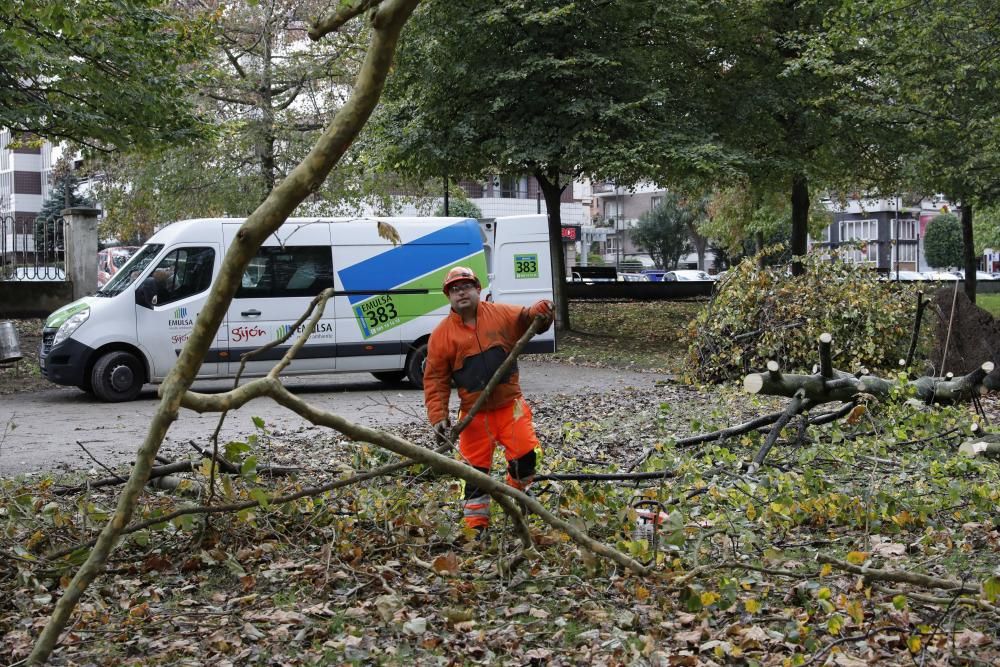 Las consecuencias de la tormenta en Gijón.