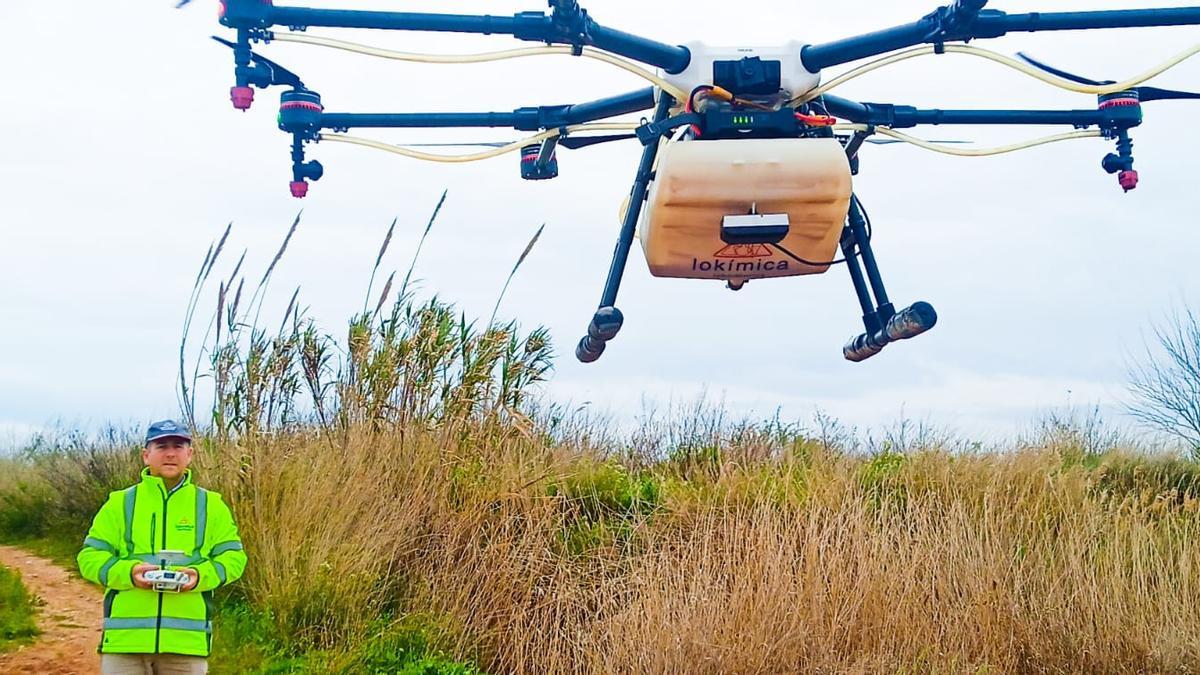 Un técnico de Lokímica pilota un dron en la marjal de Nules.