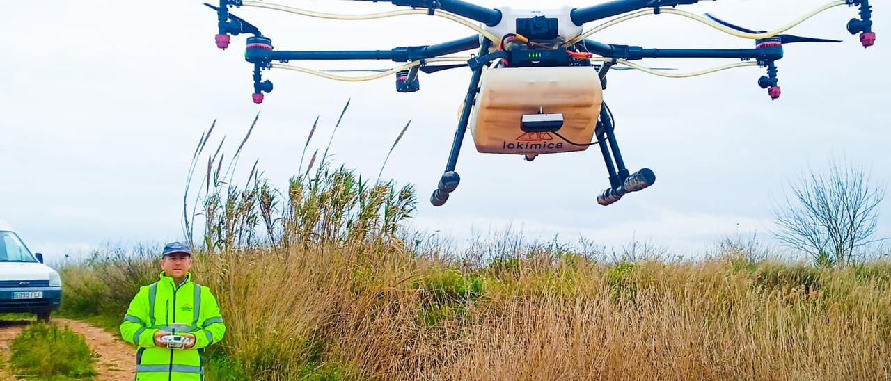 Un técnico de Lokímica pilota un dron en la marjal de Nules.