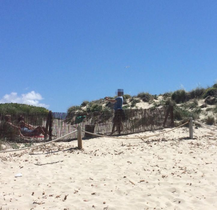 Müll-Probleme am Naturstrand Es Trenc