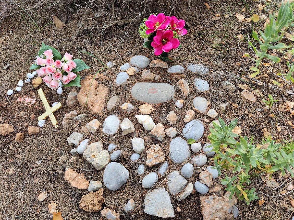 El cementerio ilegal de perros y gatos de sa Caleta.