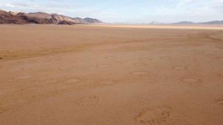 Misteriosos "círculos de hadas" inundan los desiertos de 15 países
