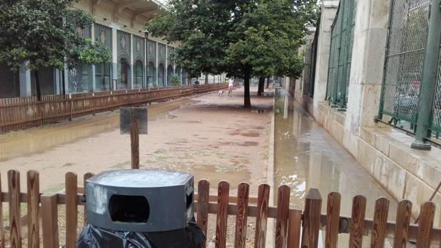 Cambios en la zona de perros y la iluminación de Abastos