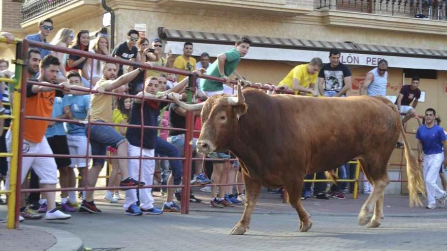 Público y corredores observan uno de los toros de cajón tras el vallado.