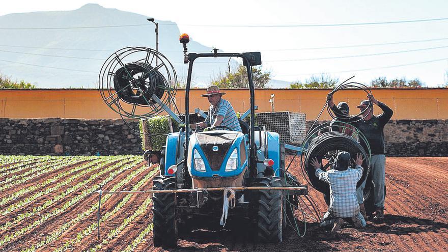 Mercadona compra a proveedores canarios por más de 690 millones
