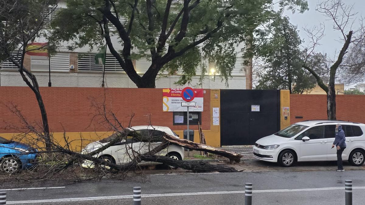 CEIP Paulo Orosio en sevilla este miércoles.