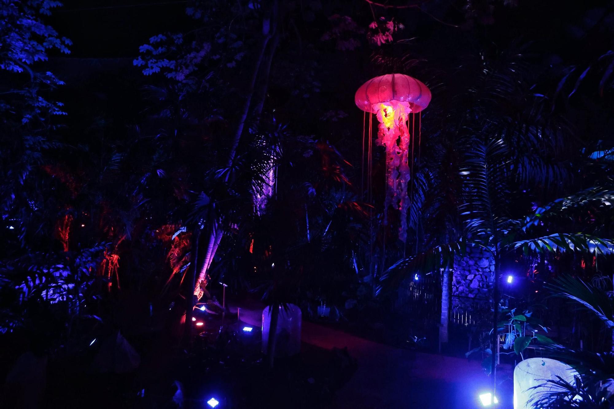 Montaje de Naturaleza Encendida en el Palmetum