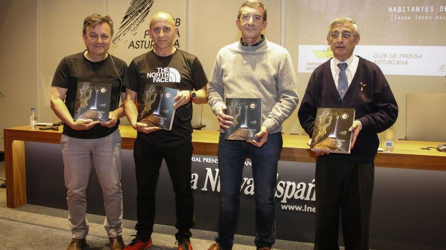 Sendra: &quot;Las cuevas del Sueve y Redes suman la mayor biodiversidad cavernícola de Asturias&quot;