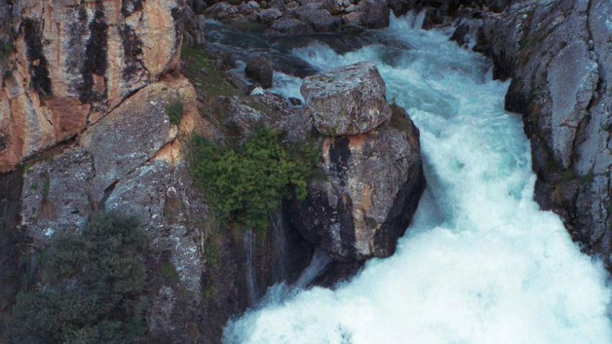 Esta es la ruta cerca de Málaga que permite acceder al río más espectacular de Andalucía: es perfecta para hacer en familia