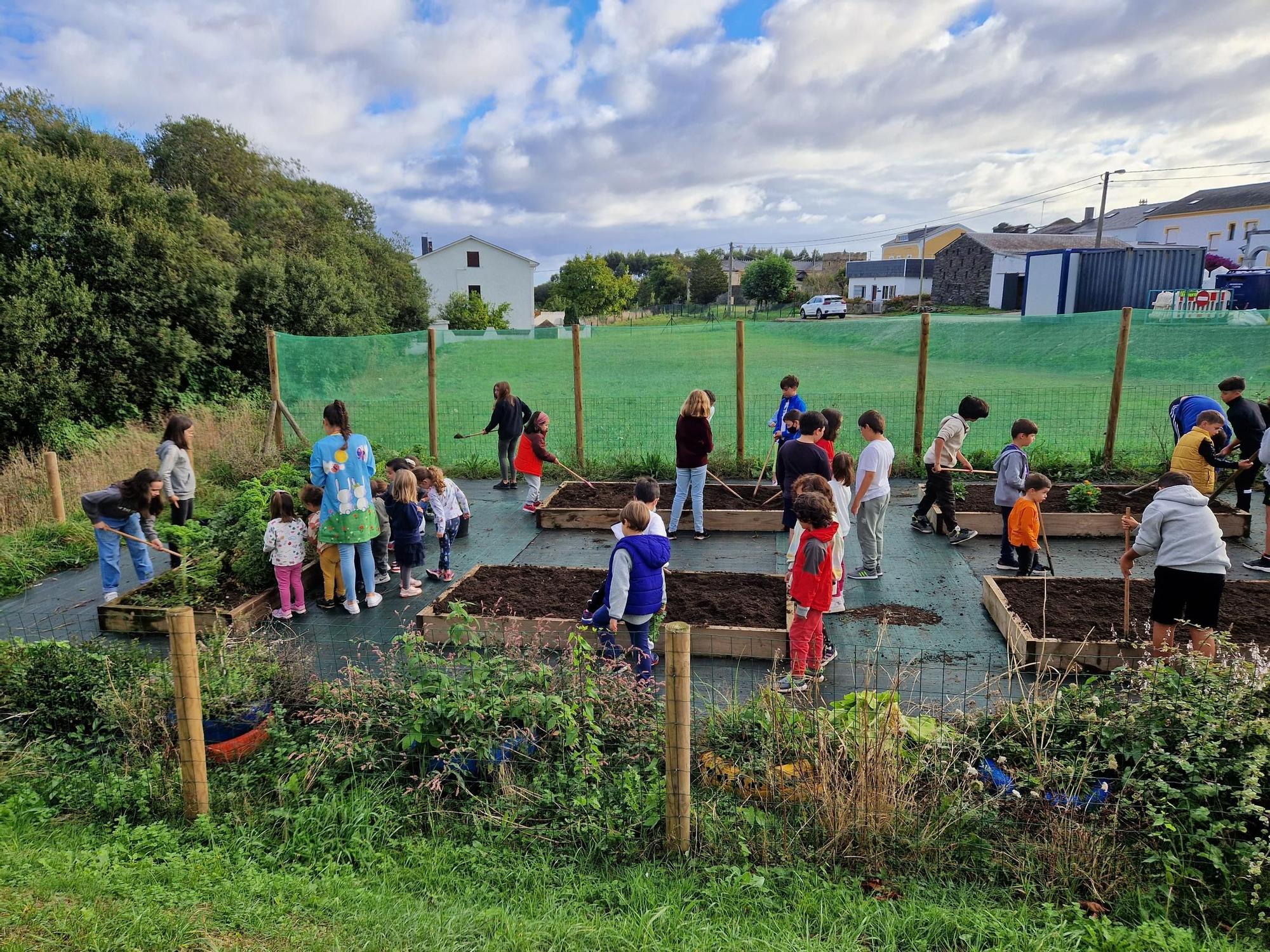 Trabajo colectivo en el huerto escolar.