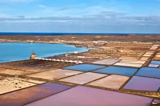 Qué producto gastro local debes llevarte según donde vayas de vacaciones (edición Canarias)
