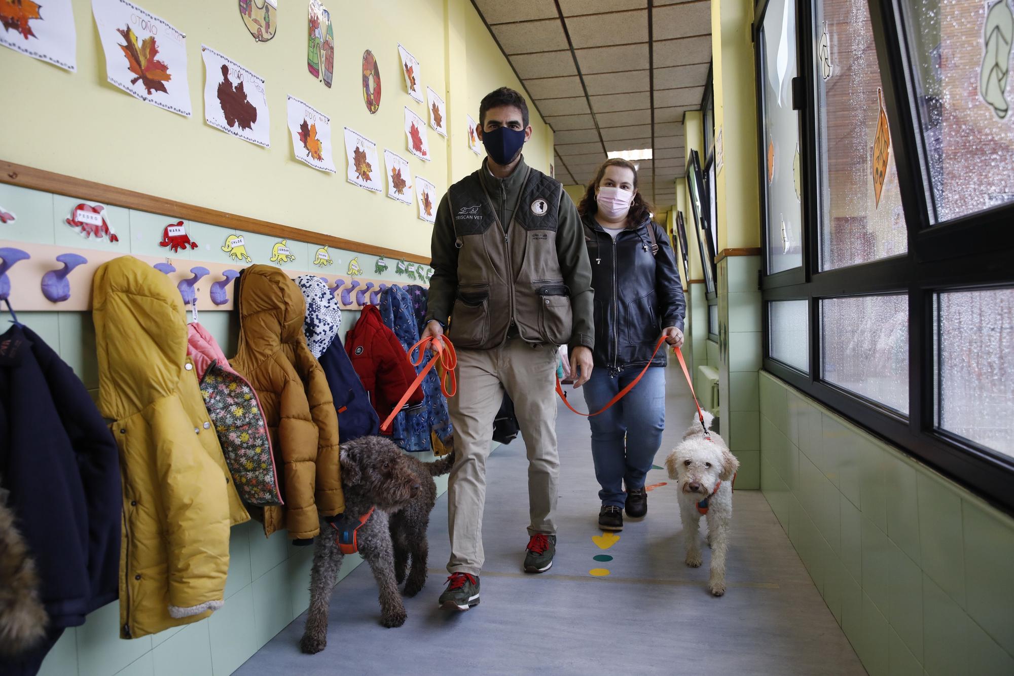 Los niños de Los Pericones aprenden en clase a lavarse los dientes con perros