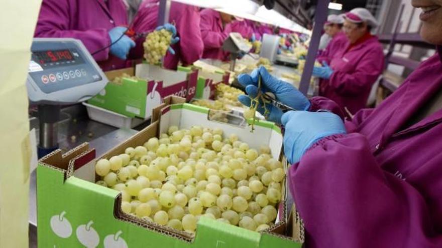 La Cámara imparte un curso obligatorio para empresas que exporten alimentos a EE UU
