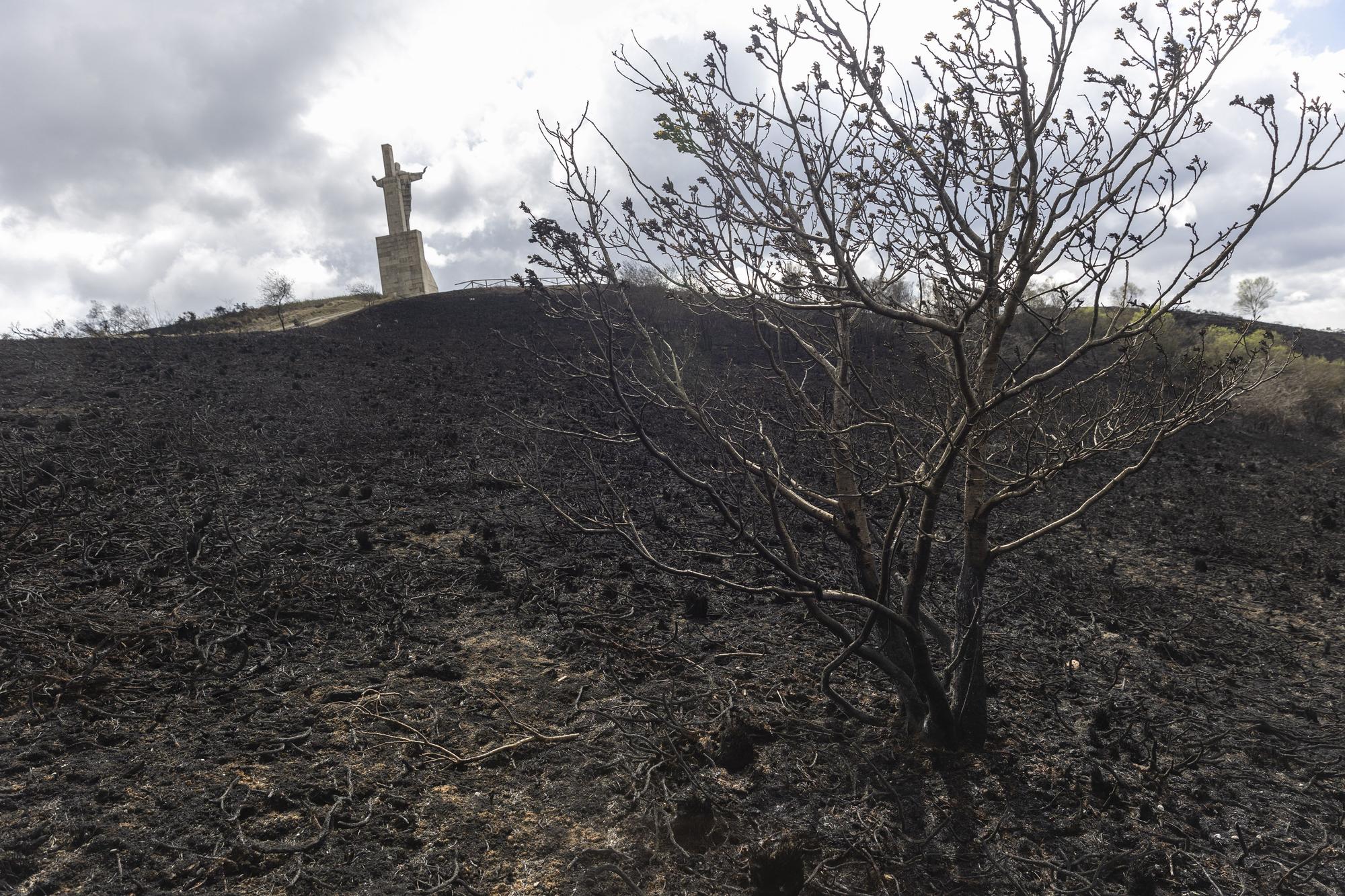 El Naranco, en Oviedo, devastado por las llamas