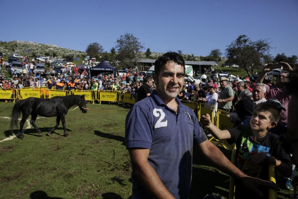 Fiesta del Asturcón en el Sueve