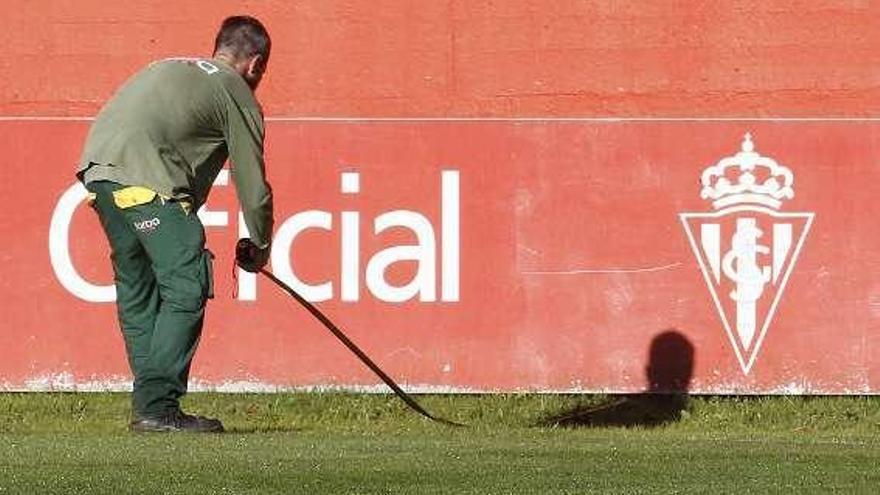 El club informa de la distancia entre la valla y los campos tras la muerte de un joven del Navia