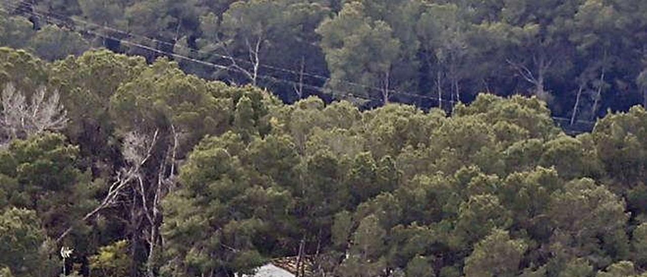 Algunos de los chalés del área residencial de Valletes de Brú.