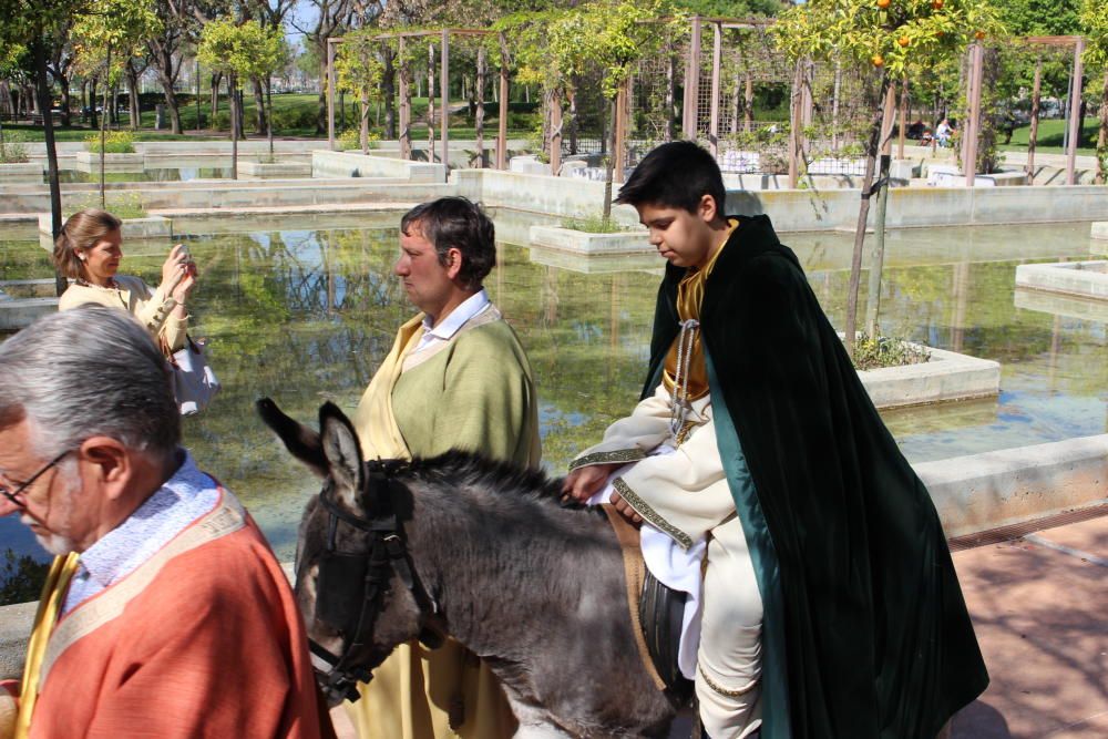 El Domingo de Ramos en Beniferri