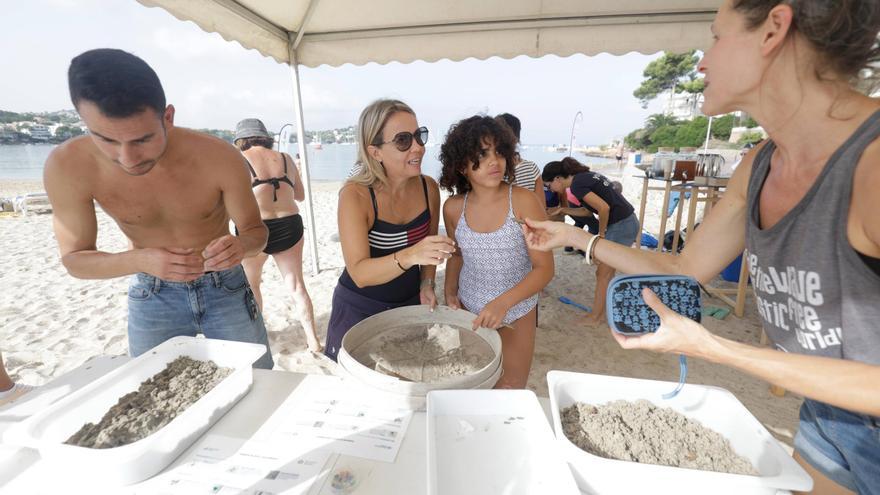 Así ha sido la actividad de concienciación Mare Nostrum