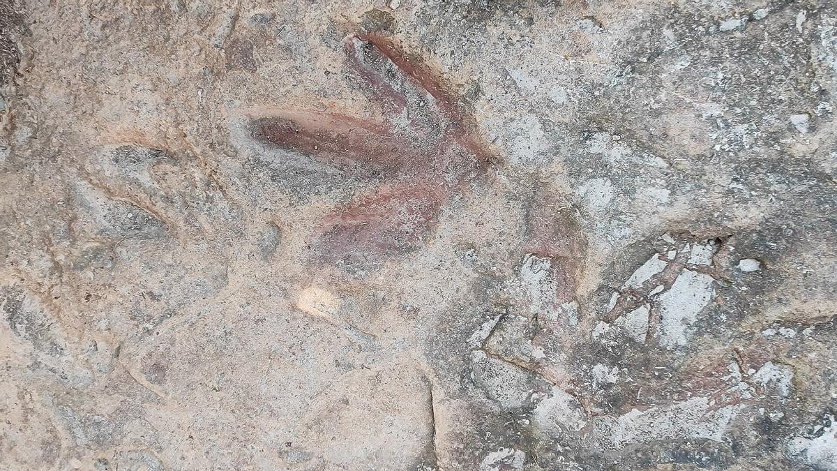Yacimiento de huellas de Corcolilla