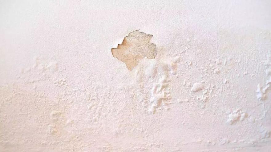 Adiós a la humedad de la pared sin pintar: las 20 gotas que la dejan como nueva