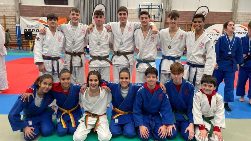 El Judo Avilés obtiene un botín de diez medallas en la competición de Oleiros