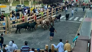 Toro apura los últimos destellos festivos