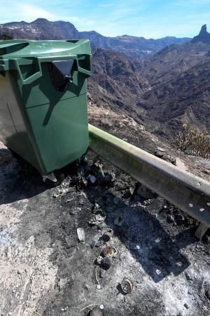 15-10-19 SUPLEMENTOS. ZONA CUMBRERA. ZONA CUMBRERA. Reportaje zonas quemadas tras dos meses. Reportaje triple entrega sobre el paisaje quemado, al cumplirse dos meses. La primera parte será Los tesosos de la Cumbre, en plan más positivo, con los brotes verdes, lugares que visitar. Un segundo con los héroes sin capa, sus protagonistas y una tercera con Lo que el fuego se llevó o Lo perdido, la parte más triste.  Fotos: Juan Castro.  | 15/10/2019 | Fotógrafo: Juan Carlos Castro