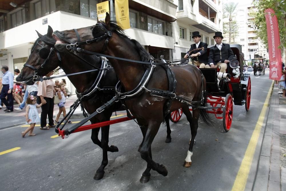 Día del Caballo en Alfonso X