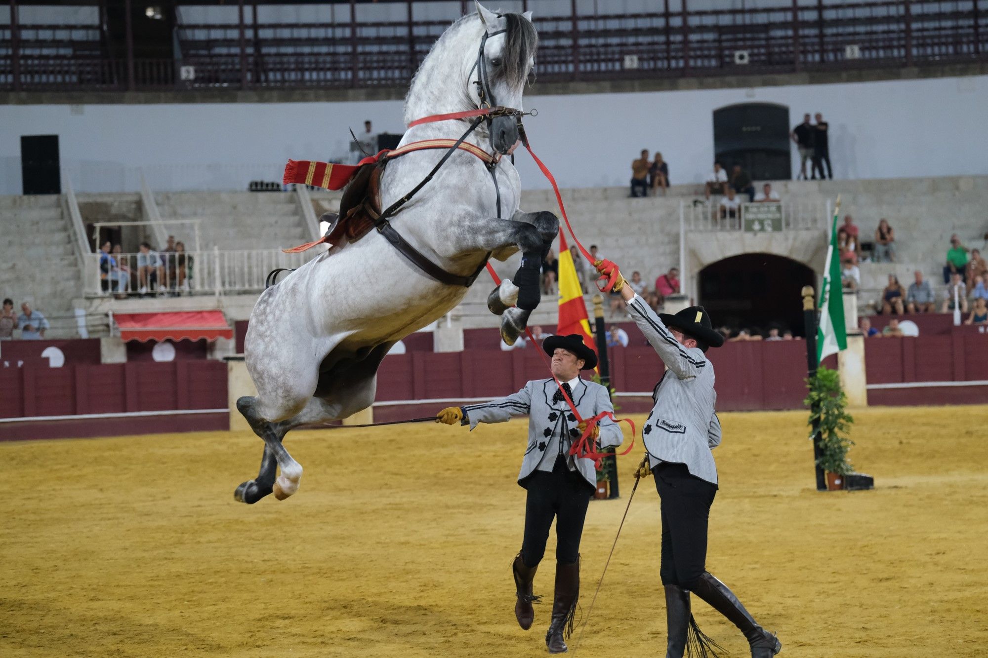 Los caballos andaluces bailan sobre el albero de La Malagueta