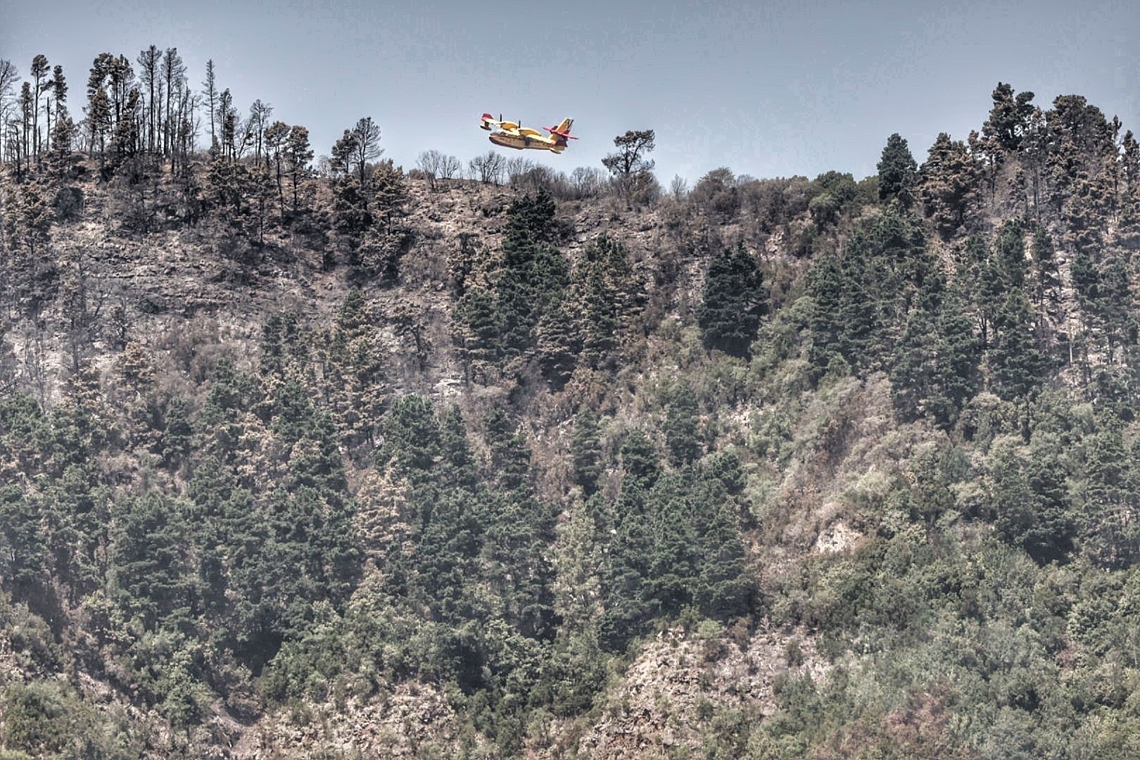 Siguen las tareas de extinción del incendio de Tenerife