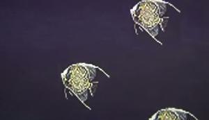 El far és el protagonista de la mostra d’Andreu Aguilar.