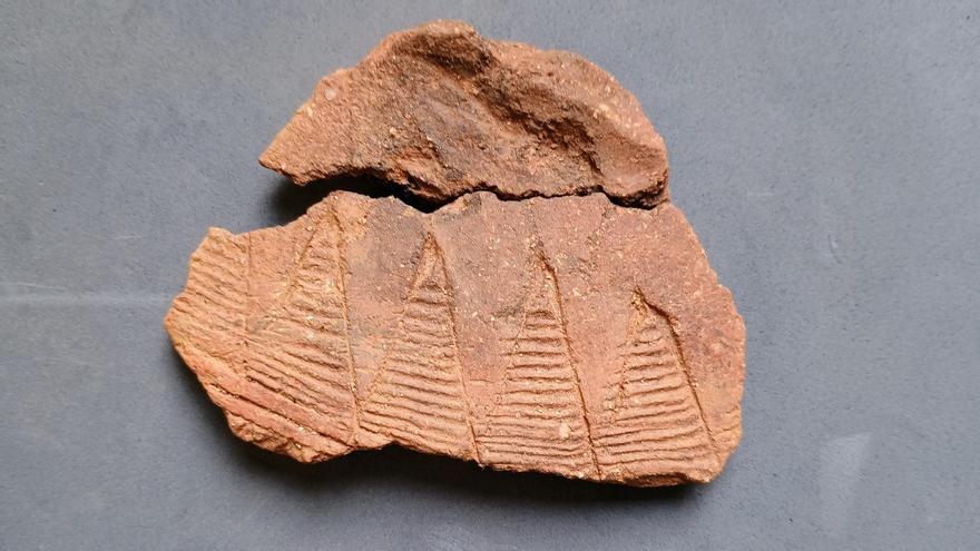 Restos prehistóricos hallados en el yacimiento de Ca la Madrona de Mataró