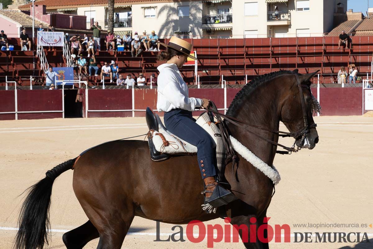 Festival taurino en Mula (Rogelio Treviño, Francisco Montero, Parrita y Borja Escudero)