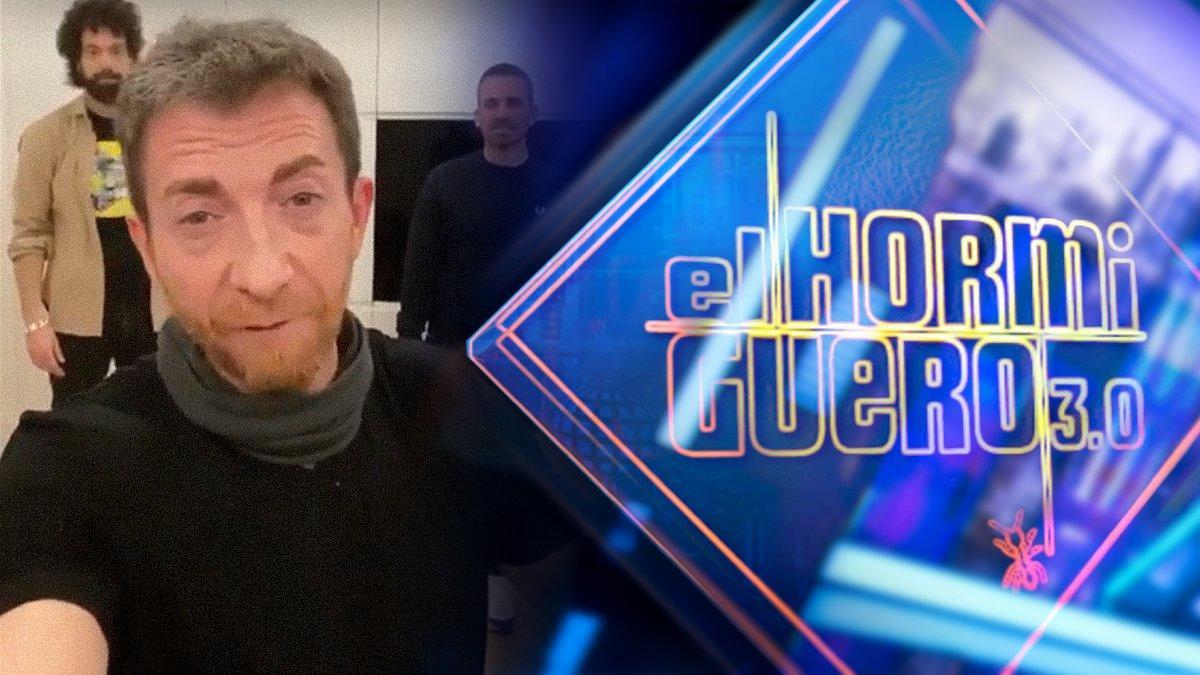 El hormiguero