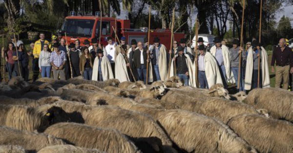 La Geria, el Proyecto SUMA y Carla Suárez, entre los premiados por Endecan