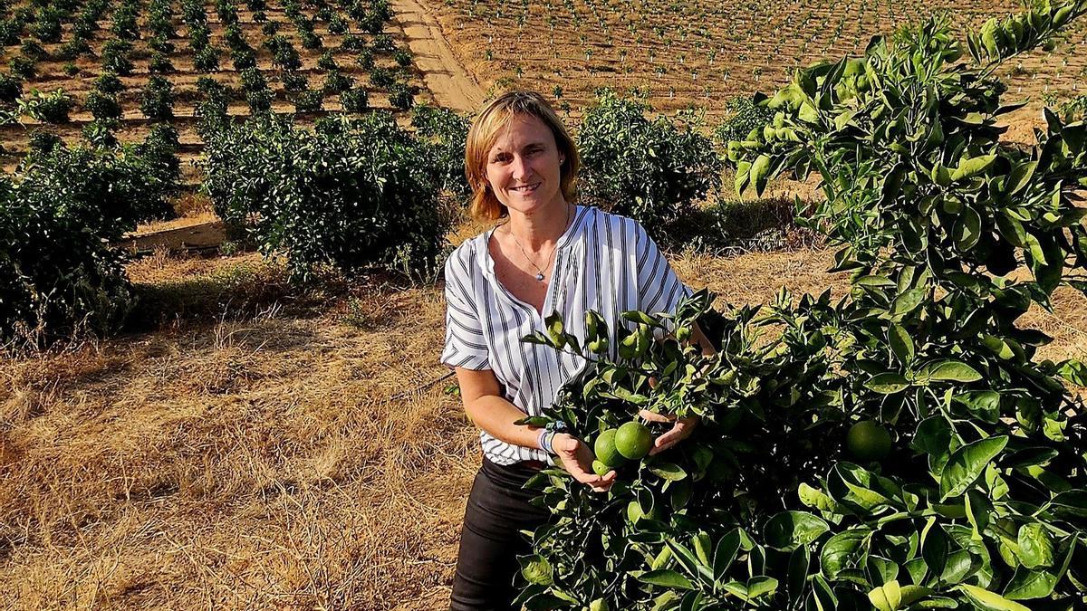 María Morales, nueva presidenta de Asaja-Sevilla, en su explotación de cítricos.