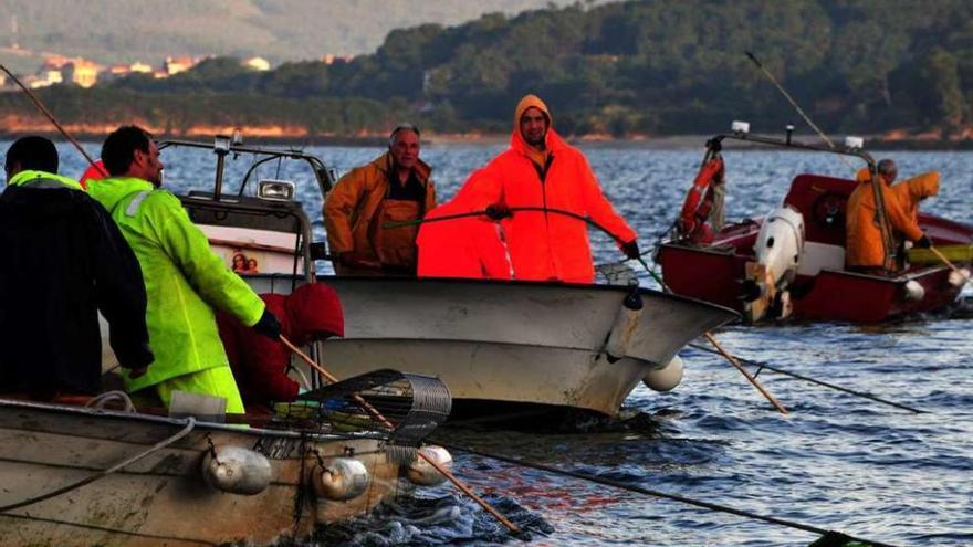 La actividad de los &quot;rañeiros&quot; en una campaña de libre marisqueo anterior, en Os Lombos. // Iñaki Abella